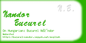 nandor bucurel business card